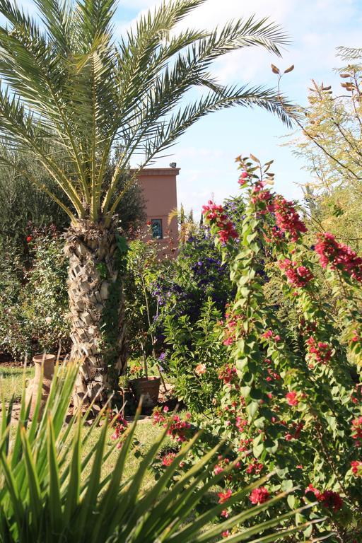 马拉喀什特拉米亚住宿加早餐旅馆 Ouled Jelal 外观 照片