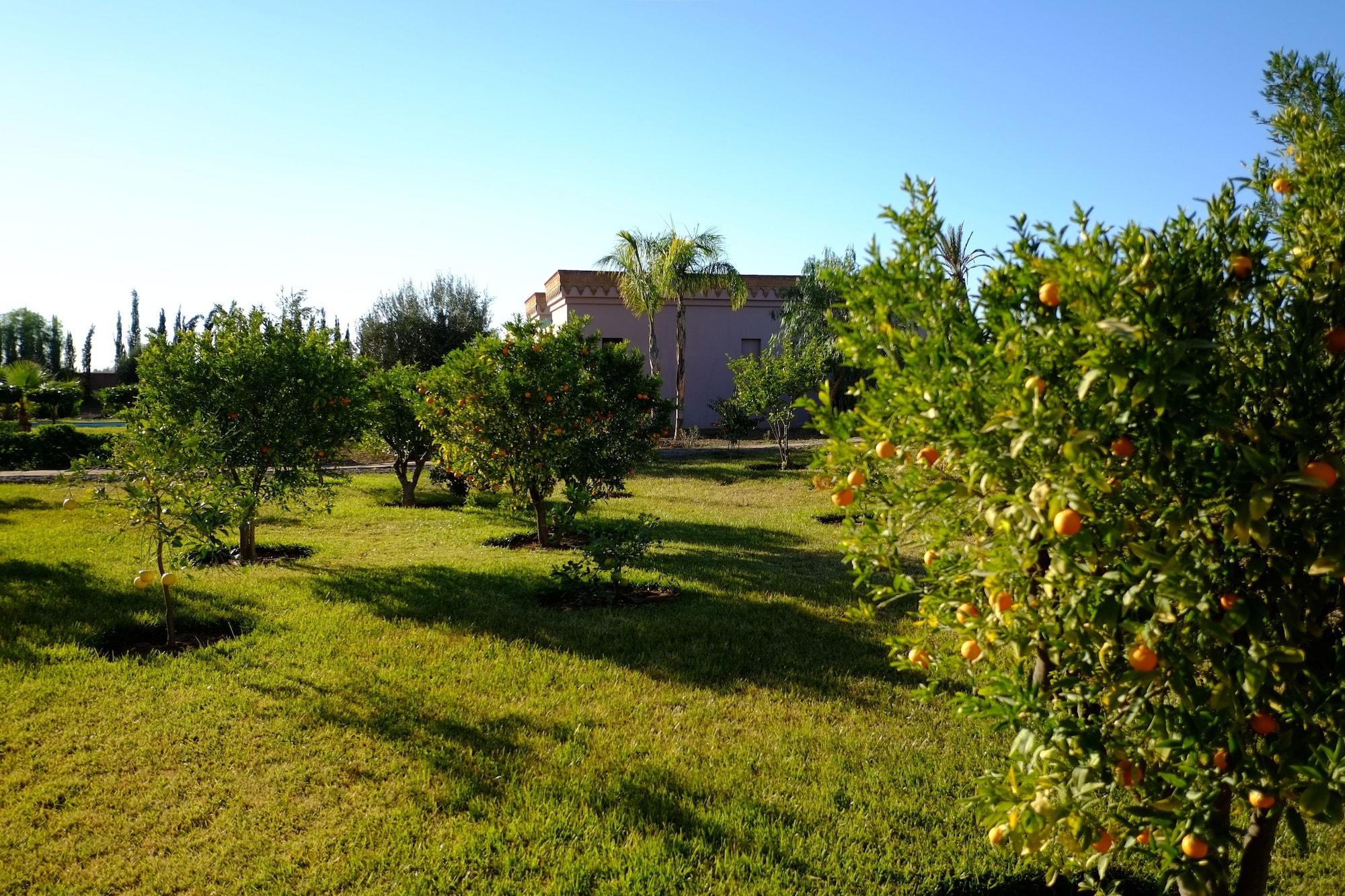 马拉喀什特拉米亚住宿加早餐旅馆 Ouled Jelal 外观 照片